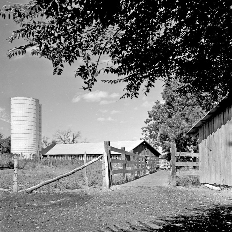 130_with ample,... (1951).jpg